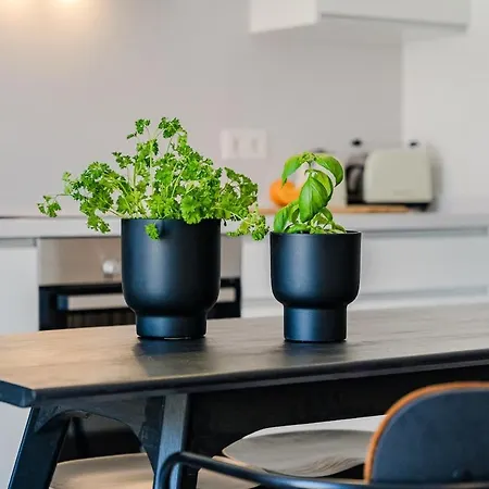 Lägenhet Cozy 2-br Penthouse With Private Rooftop Terrace *